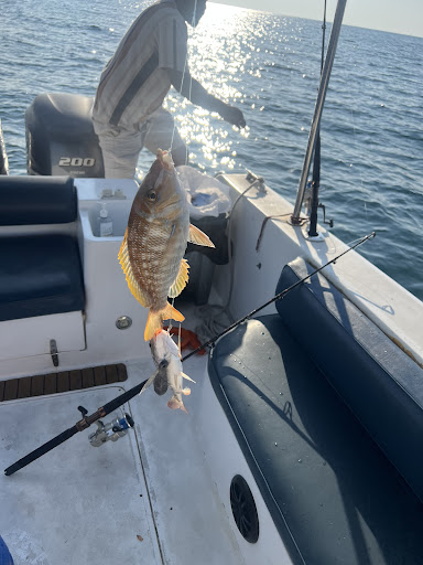 Photo from customer review