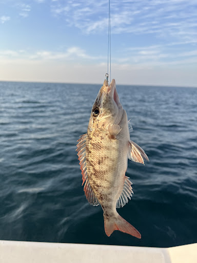 Photo from customer review