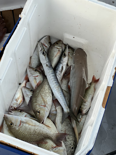 Photo from customer review