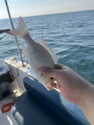 Photo from customer review